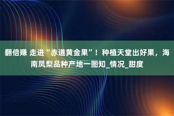翻倍赚 走进“赤道黄金果”！种植天堂出好果，海南凤梨品种产地一图知_情况_甜度
