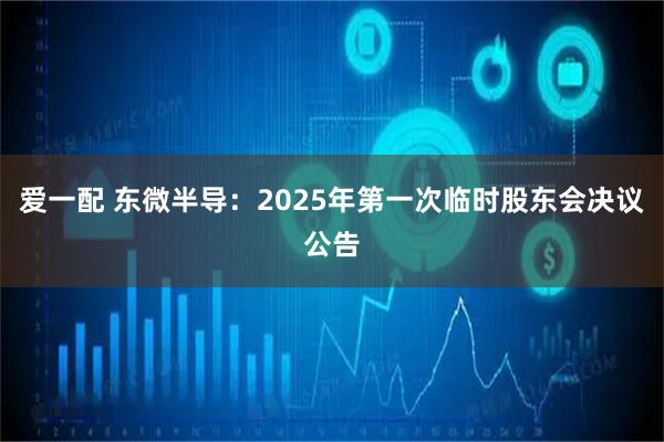 爱一配 东微半导：2025年第一次临时股东会决议公告