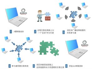 区块链开发主流编程语言居然是go语言